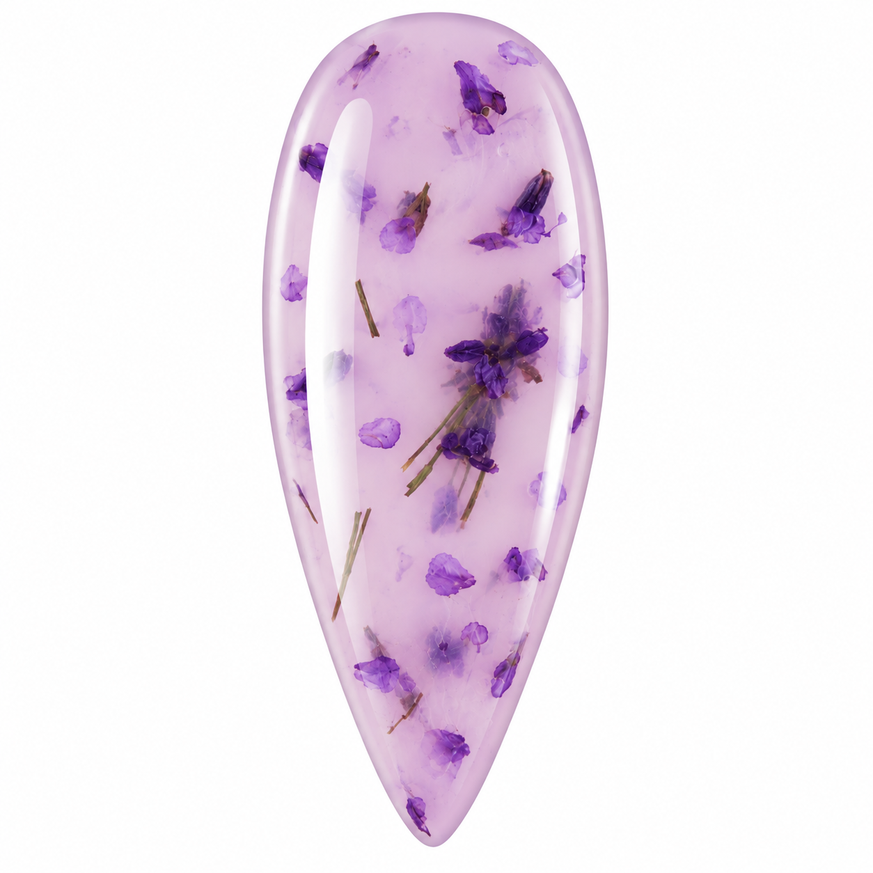 Wisteria — Botanica Collection | Dried Flower Builder Gel 15g